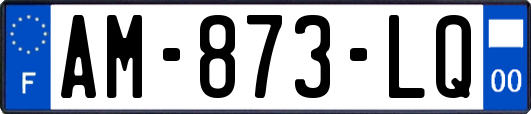 AM-873-LQ