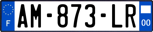 AM-873-LR