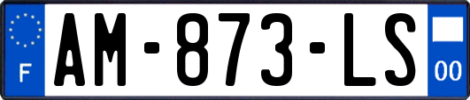AM-873-LS