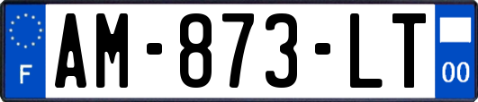 AM-873-LT