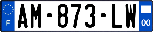AM-873-LW