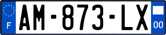 AM-873-LX