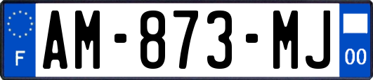 AM-873-MJ
