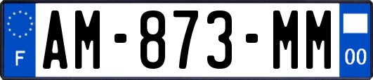 AM-873-MM