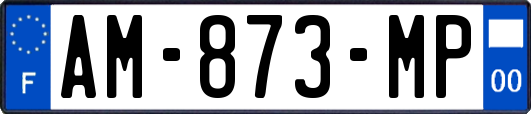 AM-873-MP