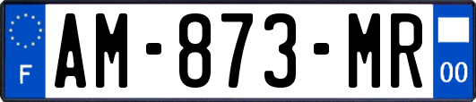 AM-873-MR