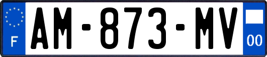 AM-873-MV