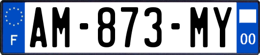 AM-873-MY