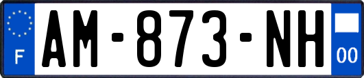 AM-873-NH