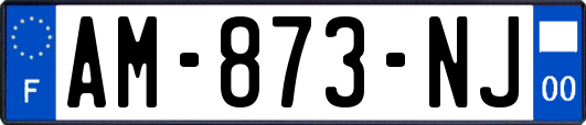 AM-873-NJ