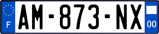 AM-873-NX