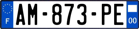 AM-873-PE
