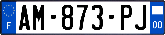 AM-873-PJ