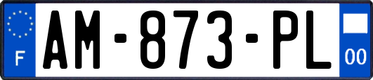 AM-873-PL