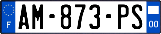 AM-873-PS
