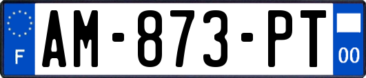AM-873-PT