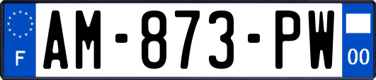AM-873-PW