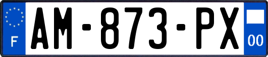 AM-873-PX