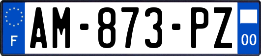 AM-873-PZ