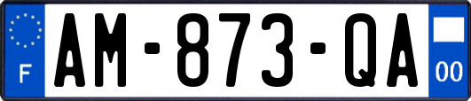 AM-873-QA