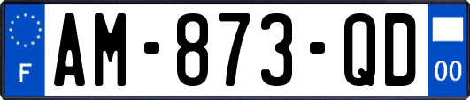AM-873-QD