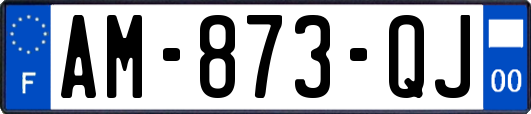 AM-873-QJ