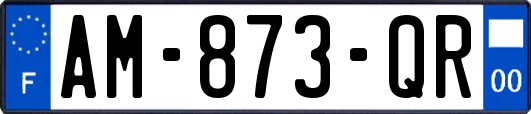 AM-873-QR
