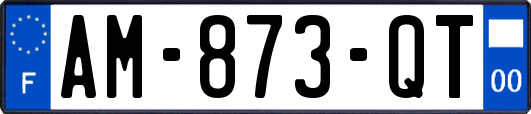AM-873-QT