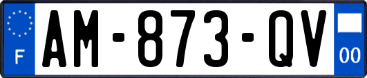 AM-873-QV