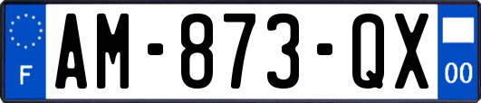AM-873-QX