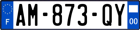 AM-873-QY
