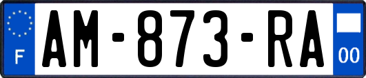 AM-873-RA