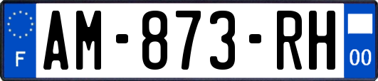 AM-873-RH