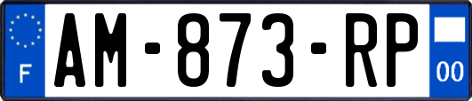 AM-873-RP