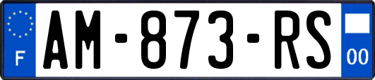 AM-873-RS