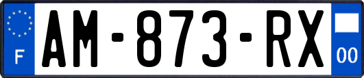 AM-873-RX
