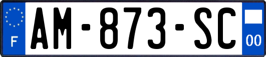 AM-873-SC