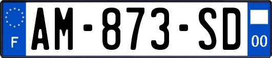AM-873-SD