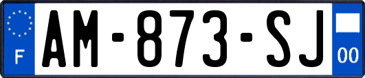 AM-873-SJ