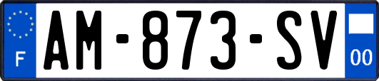 AM-873-SV