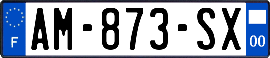 AM-873-SX