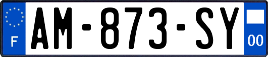 AM-873-SY