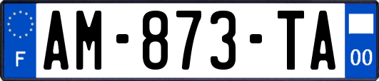 AM-873-TA