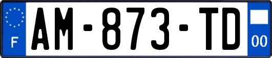 AM-873-TD
