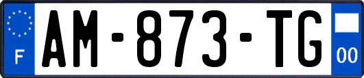 AM-873-TG