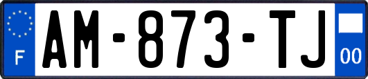AM-873-TJ