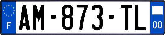 AM-873-TL