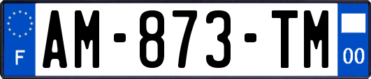 AM-873-TM