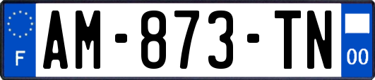AM-873-TN