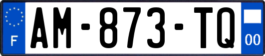 AM-873-TQ